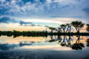 Read more about the article Meu Quintal é a Amazônia